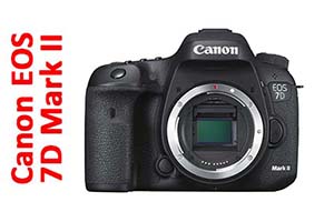 Canon EOS 7D Mark II - Still Life
