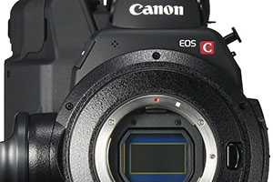 Canon C300 Mark II: cinema in 4K
