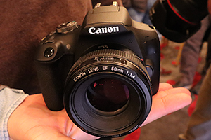 Canon EOS 2000D e 4000D eccole dal vivo
