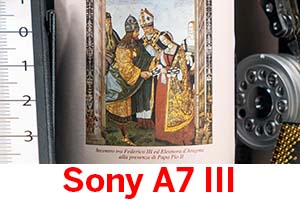 Sony A7 III: Serie ISO