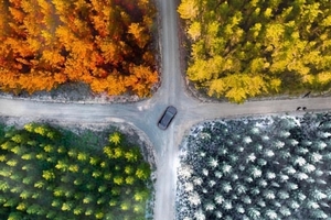 Fotografia coi droni: le immagini più belle secondo DPReview