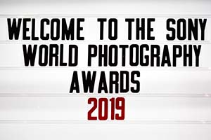 SWPA 2019: i vincitori della categoria Professional