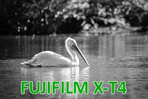 Fujifilm X-T4: Prova sul campo