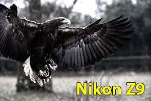 Nikon Z9 - Fotografia naturalistica