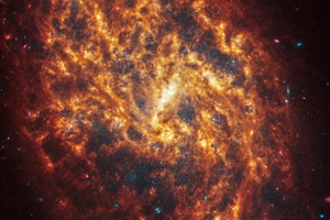 Il telescopio spaziale James Webb ha catturato le immagini di 19 galassie a spirale